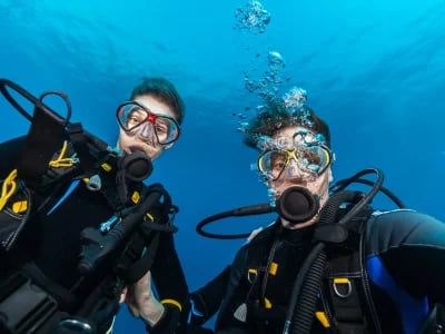 Entdecke Tauchen Mexiko: Die schönsten Spots in Playa del Carmen