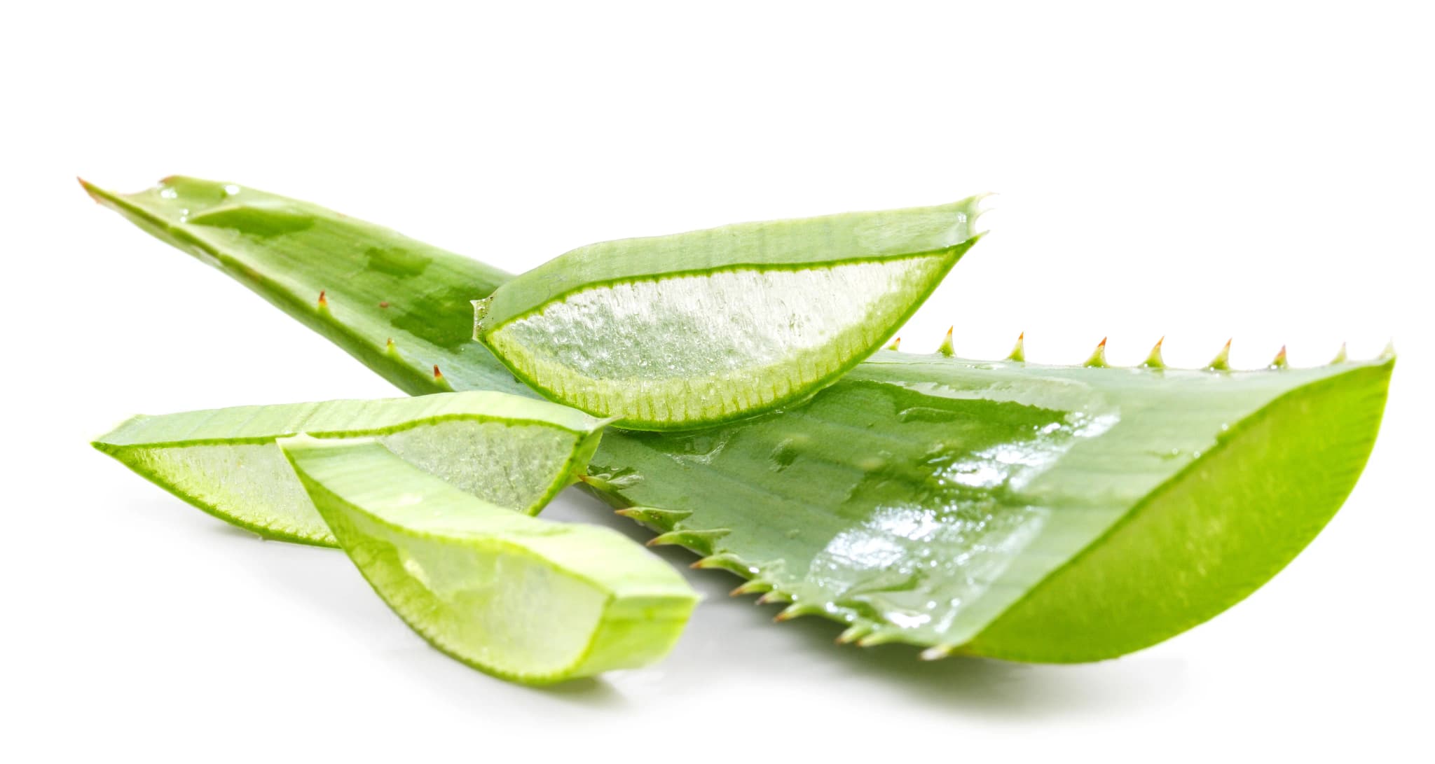 Erreiche deine Ziele als unabhängiger Distributor von Forever Living Products mit Forever Freedom
